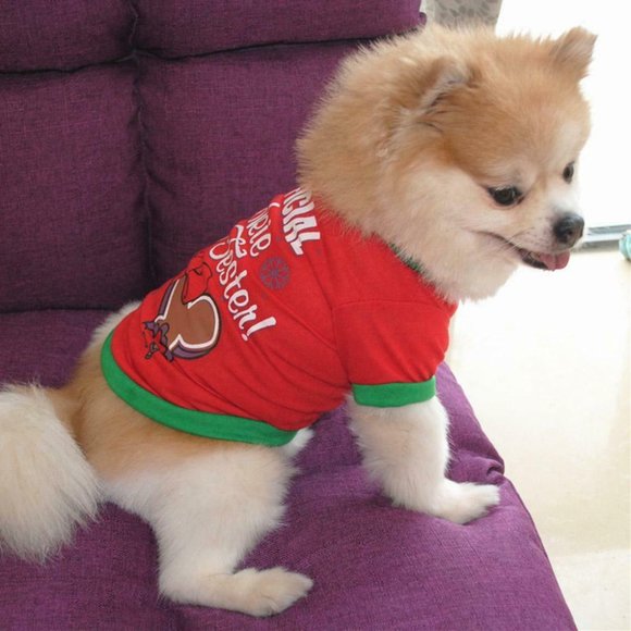 Official Cookie Tester L/G Dog Christmas Jacket - Picture 2 of 6